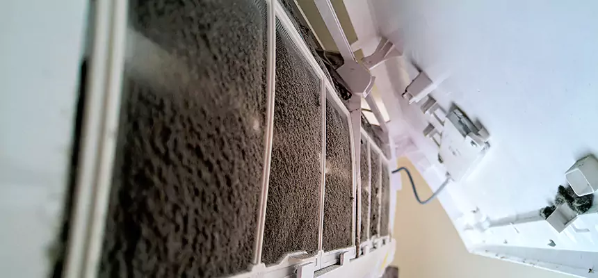 Preventive Air Duct Bacteria Removal in Port St. Lucie