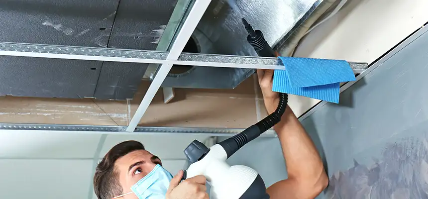 Our Air Duct Rodent Removal Services in Port St. Lucie, FL
