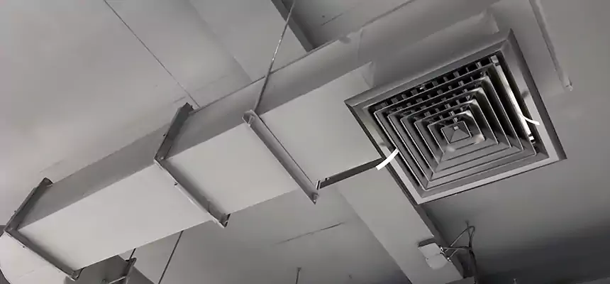 Our Pest Removal From Ducts Services in Port St. Lucie, FL