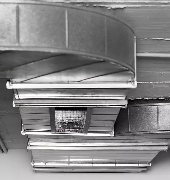 Professional Air Duct Pet Hair Removal in Port St. Lucie, FL