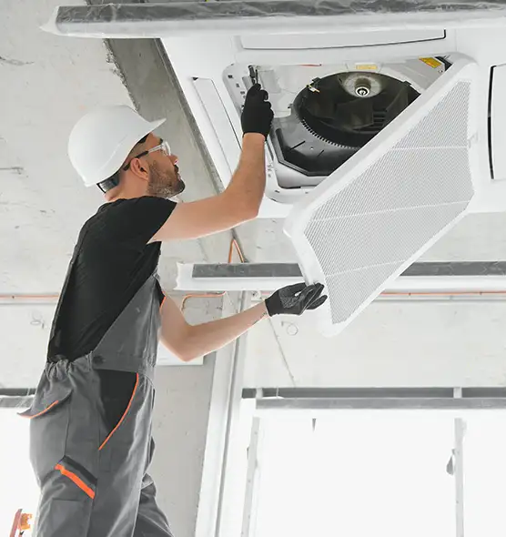 About Air Duct Rodent Removal in Port St. Lucie, FL