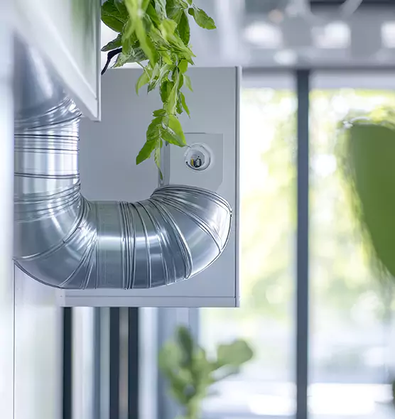 Professional Eco-Safe Dryer Vent Cleaning in Port St. Lucie, FL