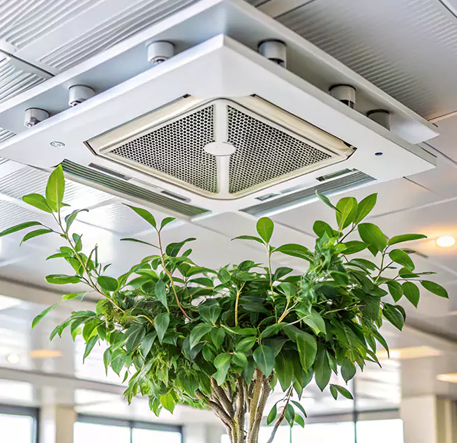 Why Homeowners & Businesses Trust Us in Port St. Lucie, FL