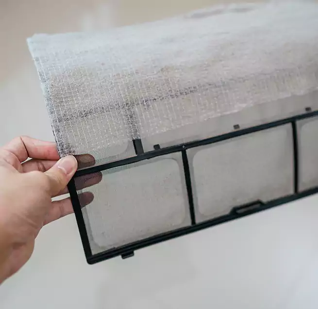 Why Homeowners & Businesses Trust Us in Port St. Lucie, FL?