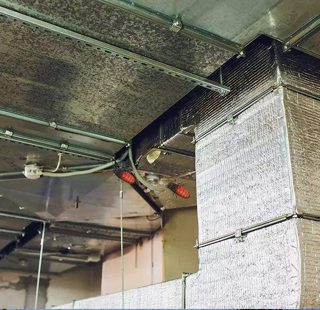 Why Homeowners & Businesses Trust Us Port St. Lucie, FL?