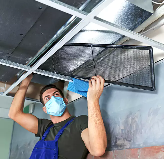 Why Homeowners Businesses Trust Us in Port St. Lucie, FL